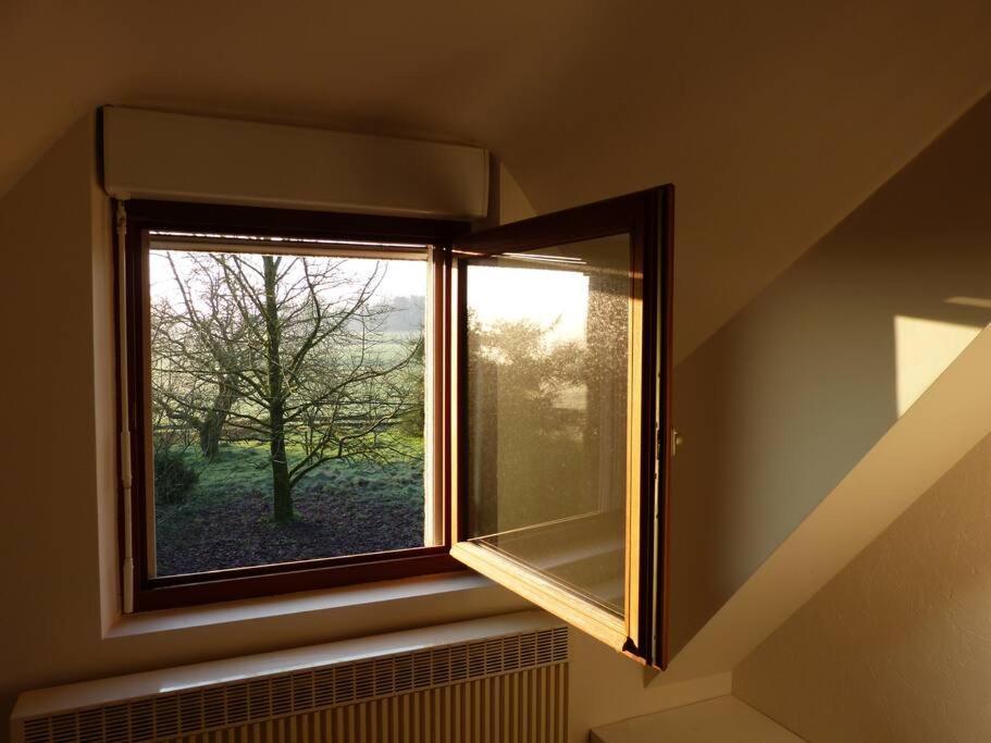 Studio Dans Une Chaumiere De Caractere Baud Exteriér fotografie